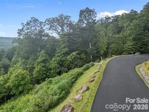 w12 Curtain Bluff, Hendersonville, NC 28791