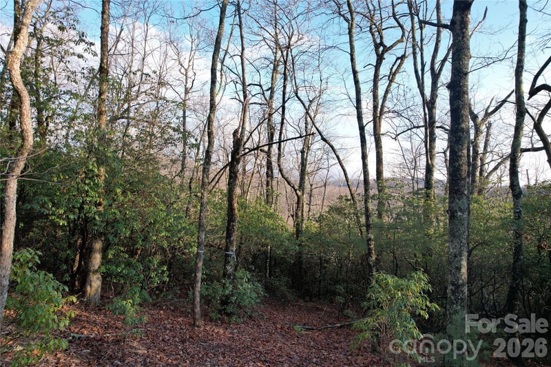 TBD Laurel Thicket Ln, Brevard, NC 28712