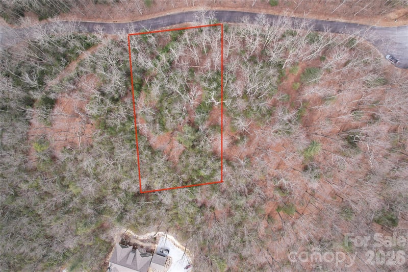 TBD Laurel Thicket Ln, Brevard, NC 28712