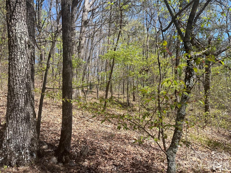 Pilgrim Church Rd, Hiddenite, NC 28636