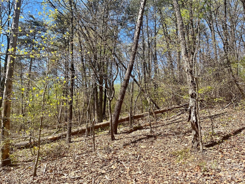 0000 Pilgrim Church Rd, Hiddenite, NC 28636
