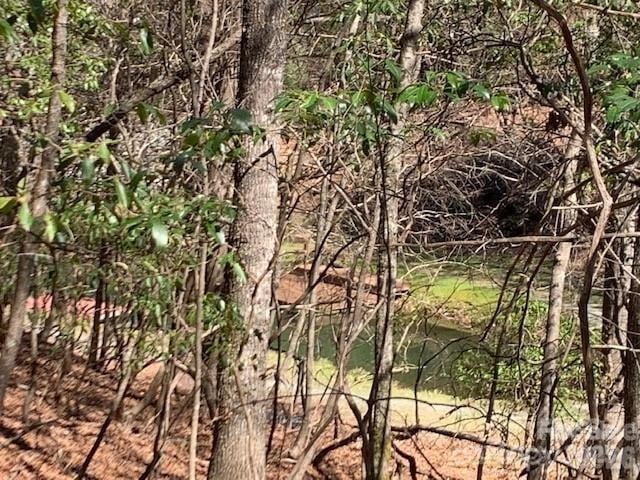 U6L45 Ottaray Ct, Brevard, NC 28712
