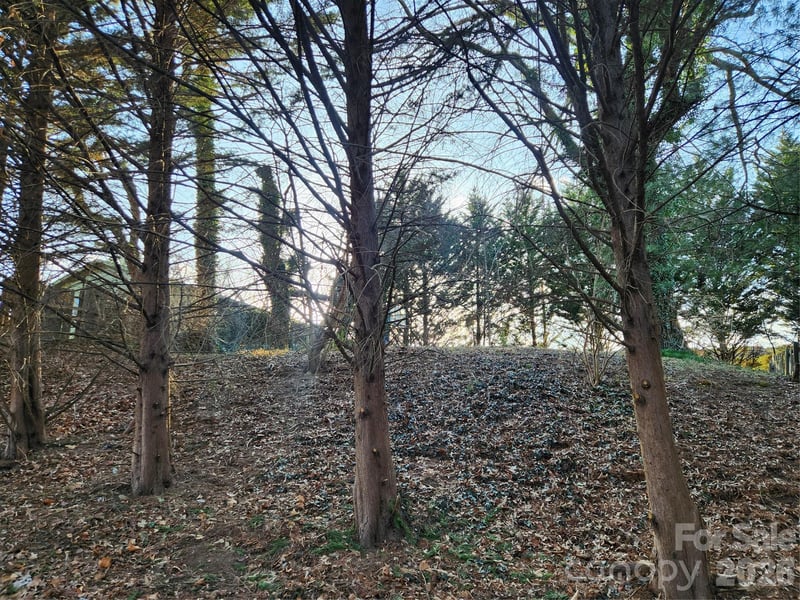 8 John St, Asheville, NC 28801