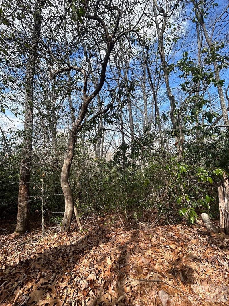 Lot 37 High Peak Rd, Hendersonville, NC 28739