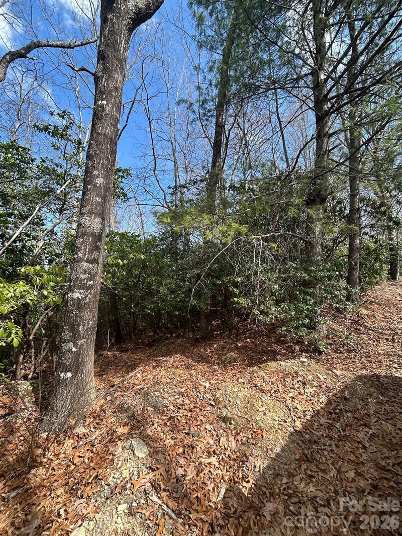 Lot 37 High Peak Rd, Hendersonville, NC 28739