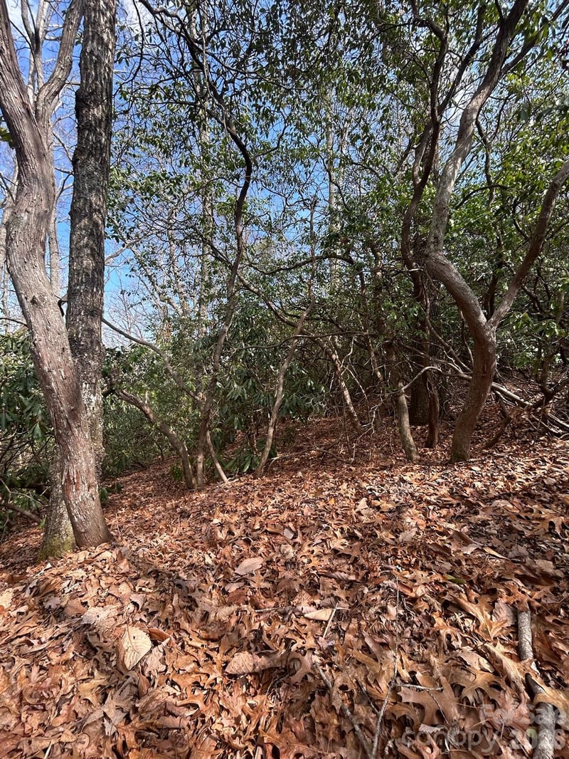 Lot 37 High Peak Rd, Hendersonville, NC 28739