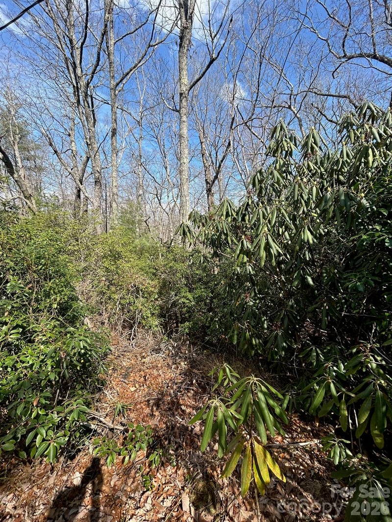 Lot 38 High Peak Rd, Hendersonville, NC 28739