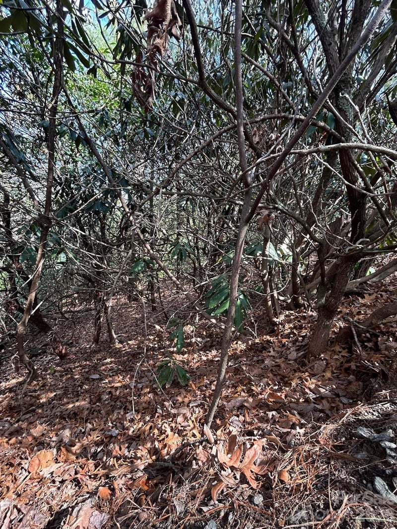 Lot 38 High Peak Rd, Hendersonville, NC 28739