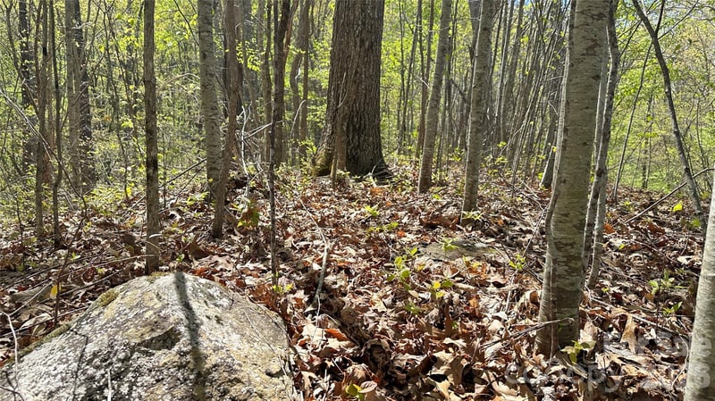 0000 Oat Field Rd #5B, Tuckasegee, NC 28783