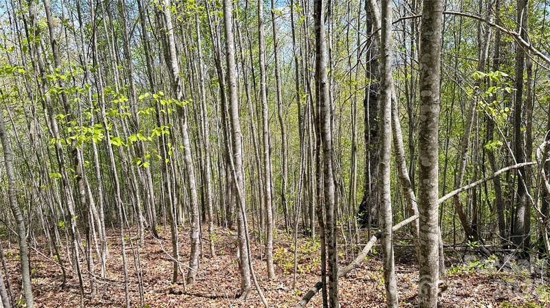0000 Oat Field Rd #5B, Tuckasegee, NC 28783