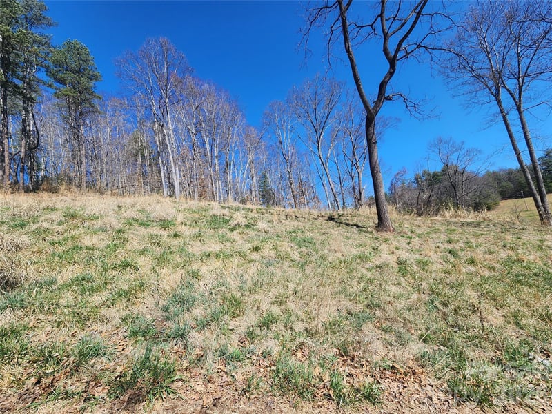 9999 Country Dr, Mars Hill, NC 28754