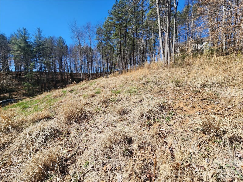 9999 Country Dr, Mars Hill, NC 28754