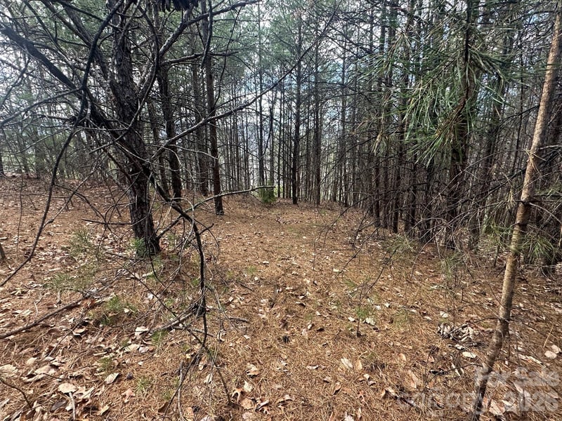 0000 Boulder Rg, Lake Lure, NC 28746