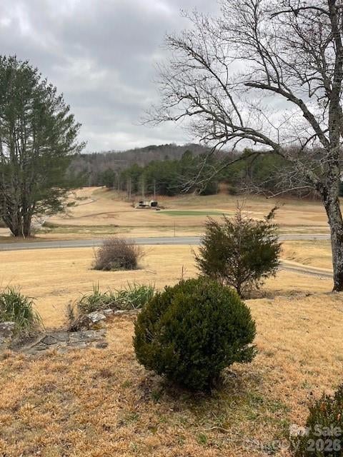 598 Buffalo Creek Rd, Lake Lure, NC 28746