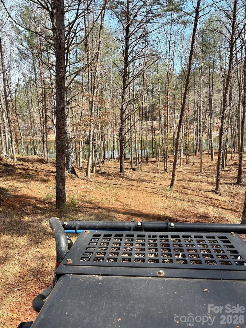2289 Castle Peak Mountain #133, Connelly Springs, NC 28612