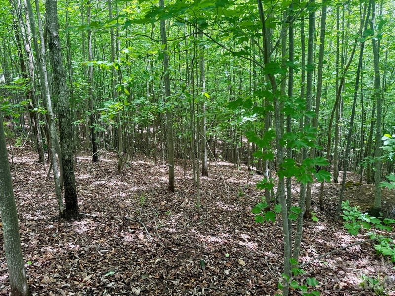VL Scenic Vista Dr #248, Nebo, NC 28761