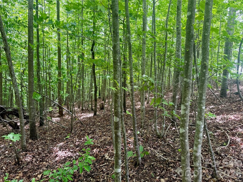 VL Scenic Vista Dr #248, Nebo, NC 28761