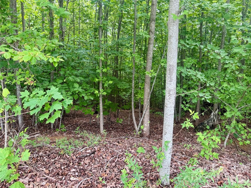 VL Scenic Vista Dr #248, Nebo, NC 28761