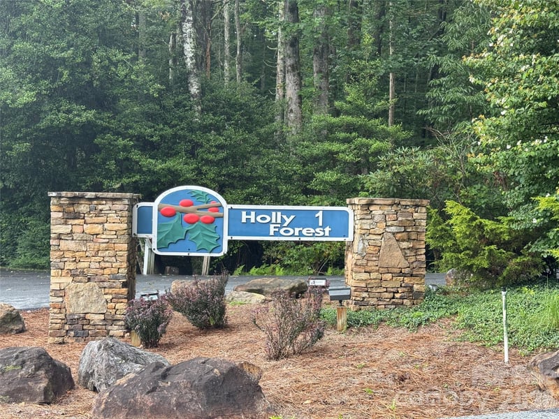 66 Christy Trl, Sapphire, NC 28774