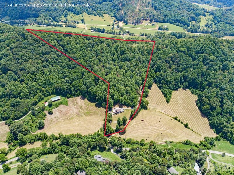 189 Poverty Branch Rd, Barnardsville, NC 28709