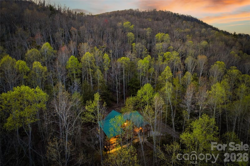 163 Bear Track Ln, Vilas, NC 28692