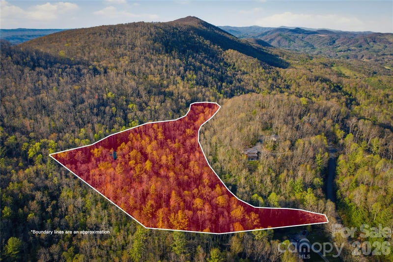 163 Bear Track Ln, Vilas, NC 28692
