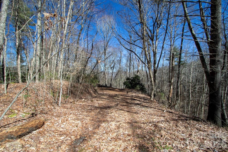 0000 Grapevine Rd, Marshall, NC 28753