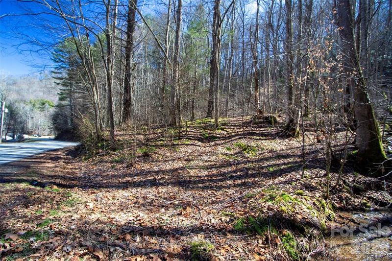 0000 Grapevine Rd, Marshall, NC 28753