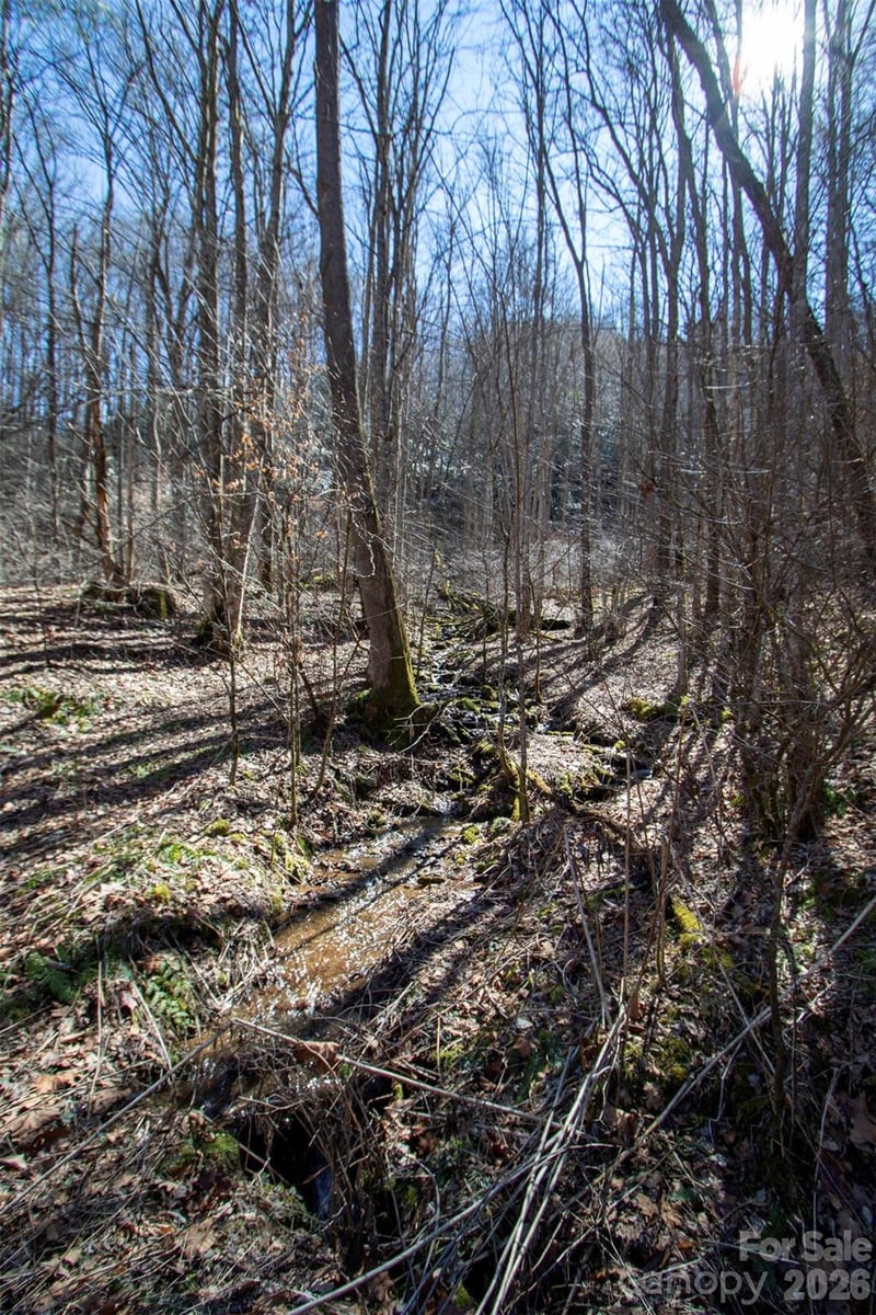 0000 Grapevine Rd, Marshall, NC 28753