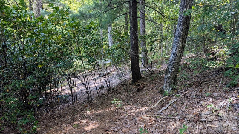 101 Scenic Dr #74, Flat Rock, NC 28731