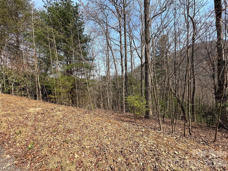 TBD Wood Stone Dr #14, Hendersonville, NC 28792