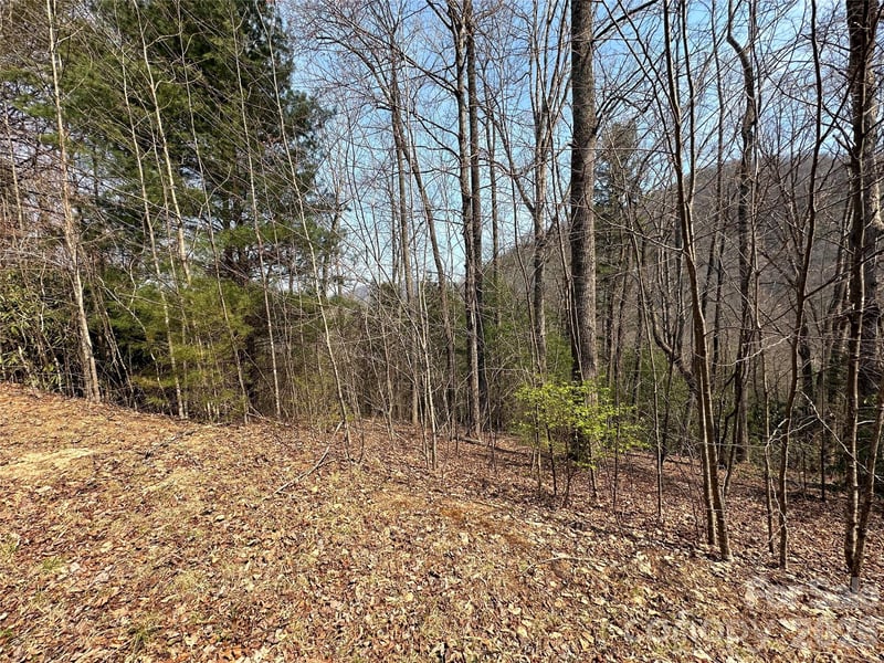 TBD Wood Stone Dr #14, Hendersonville, NC 28792