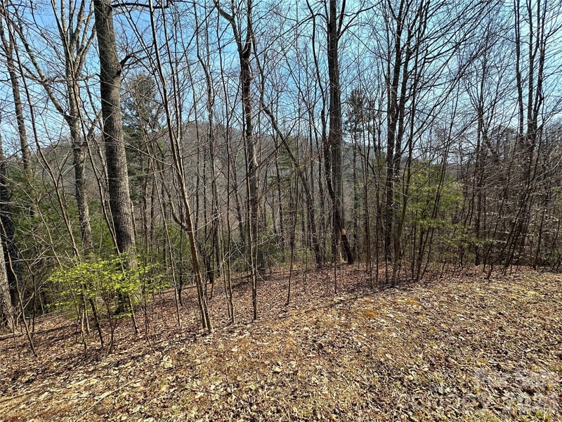 TBD Wood Stone Dr #14, Hendersonville, NC 28792