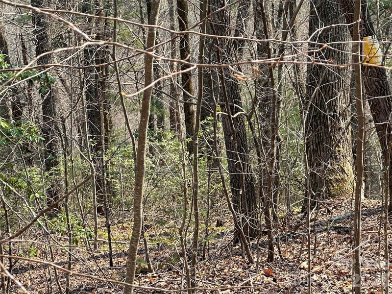 TBD Wood Stone Dr #14, Hendersonville, NC 28792
