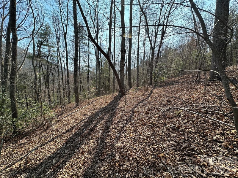 TBD Wood Stone Dr #14, Hendersonville, NC 28792