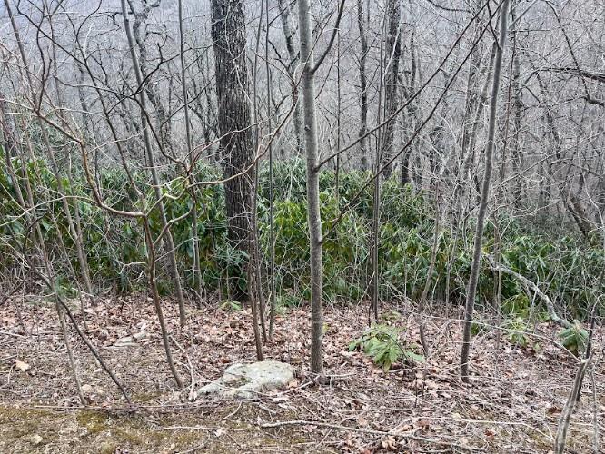 11 Majestic Overlook Way #36, Candler, NC 28715