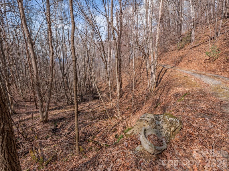 399 Goodson Spring Rd, Waynesville, NC 28786