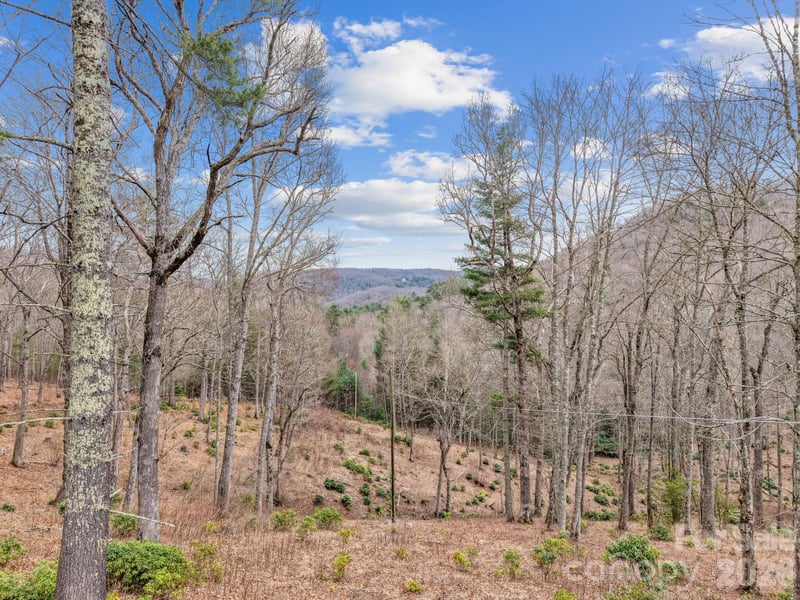 580 Robinson Creek Rd, Glenville, NC 28736