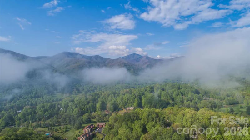 461 Ferguson Cove Loop, Clyde, NC 28721