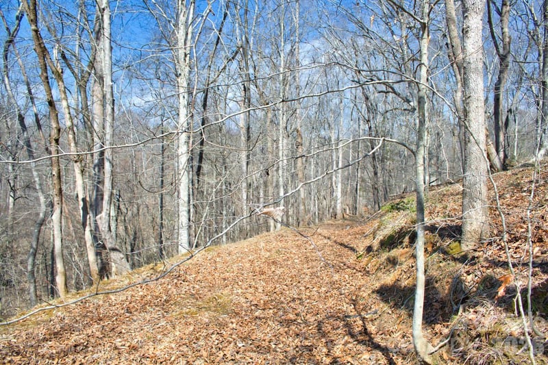 Cross Creek Dr #143, Rutherfordton, NC 28139