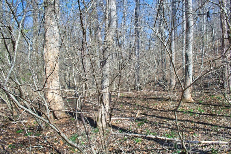 Cross Creek Dr #143, Rutherfordton, NC 28139