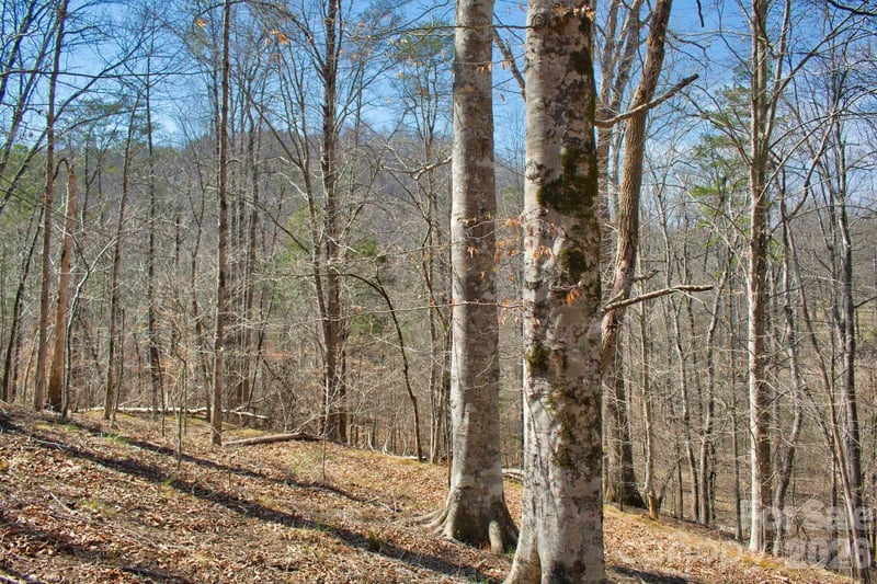 Cross Creek Dr #143, Rutherfordton, NC 28139