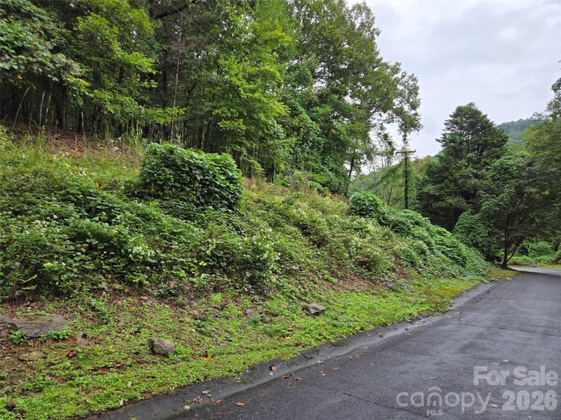 Waterside Dr, Lake Lure, NC 28746