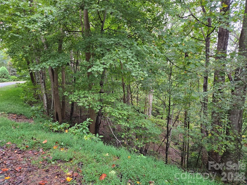 Waterside Dr, Lake Lure, NC 28746