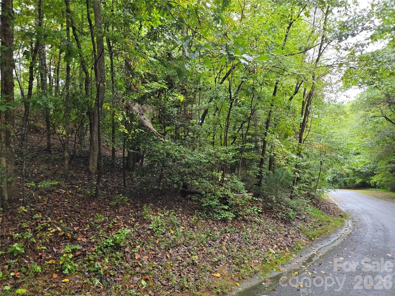 Waterside Dr, Lake Lure, NC 28746