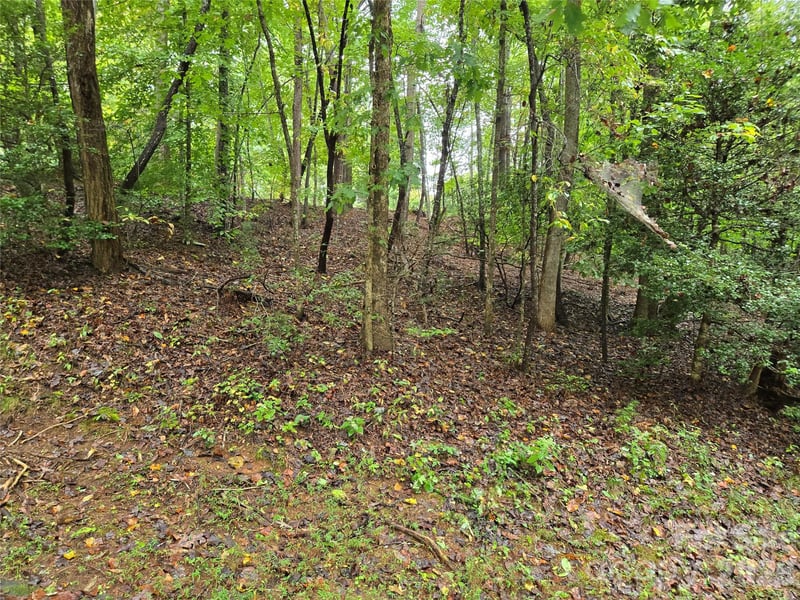 Waterside Dr, Lake Lure, NC 28746