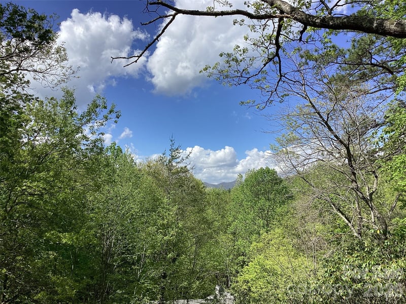31 Rhododendron Rd, Black Mountain, NC 28711