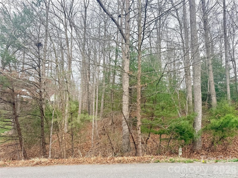 85 Baton Ln, Hendersonville, NC 28792