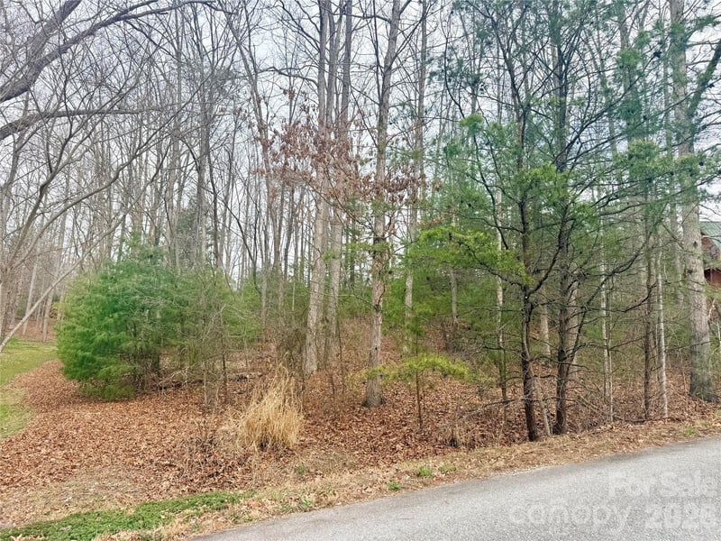 85 Baton Ln, Hendersonville, NC 28792