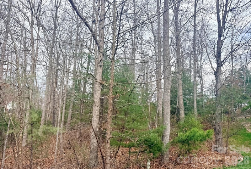 85 Baton Ln, Hendersonville, NC 28792